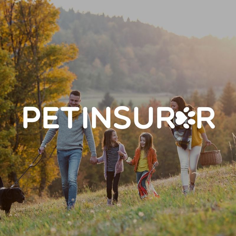 Petinsurer case study cover image