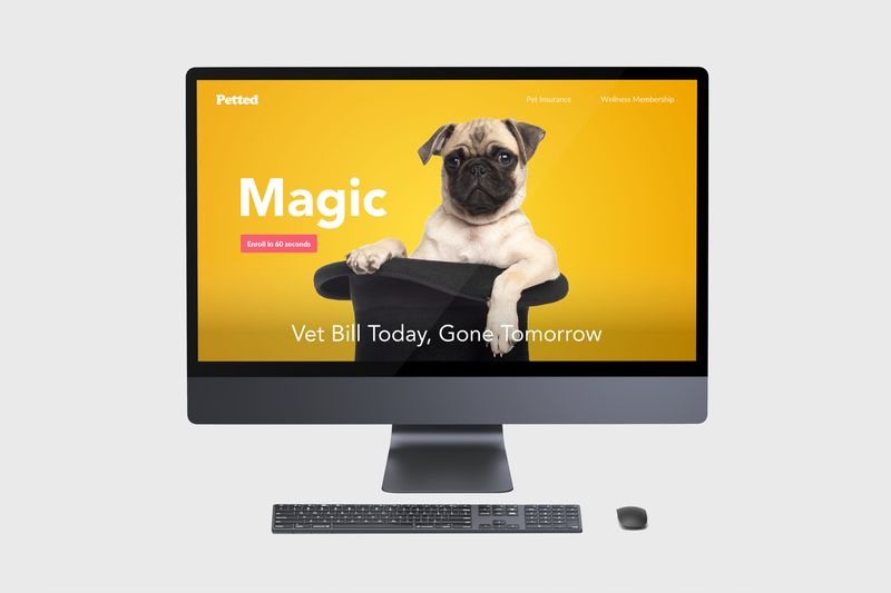 Petted website design