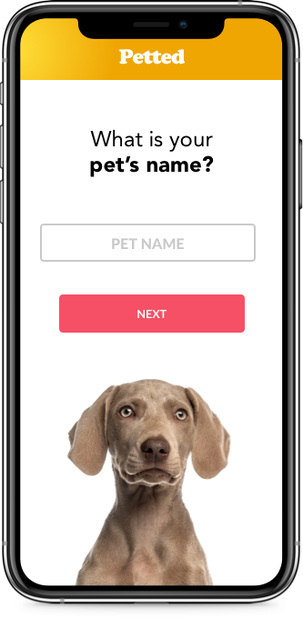 Petted quote journey screen showing the pet details step