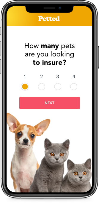 Petted quote journey screen showing a single question